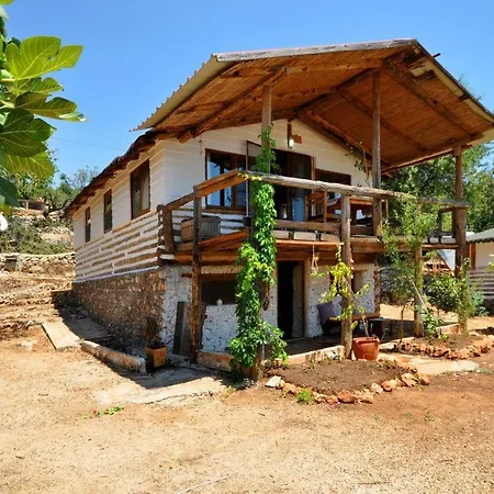 Mektephan * Каш